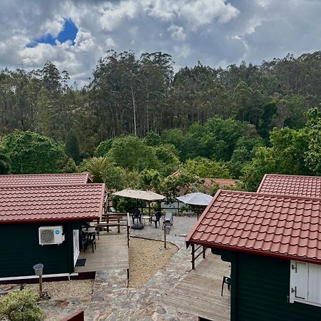 Mimosa Village - Turismo De Natureza Mortágua المظهر الخارجي الصورة